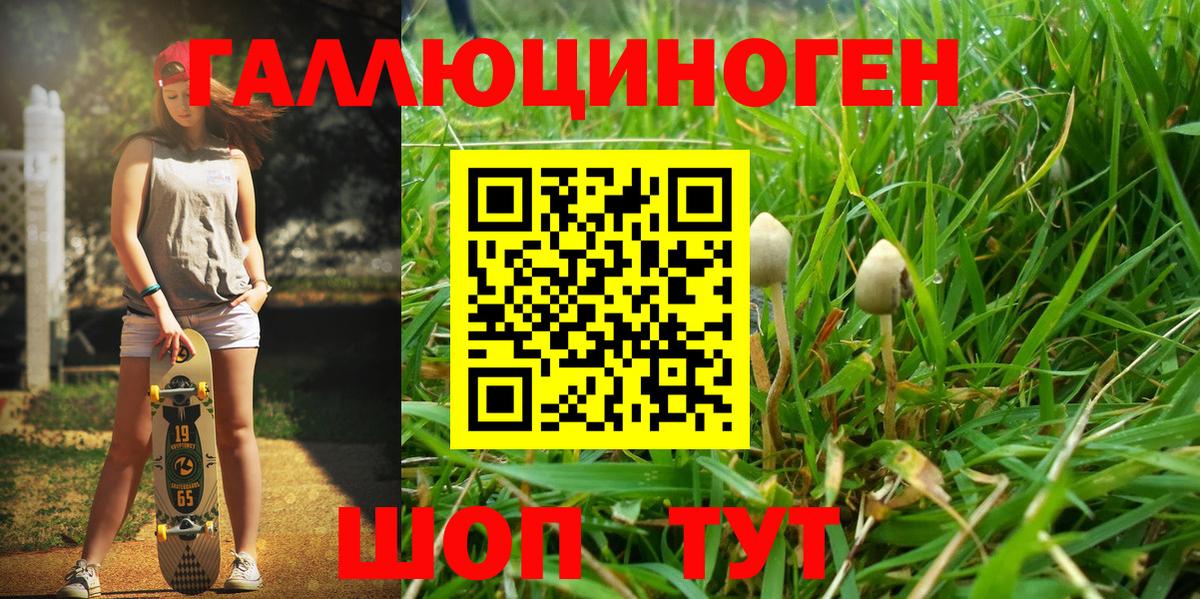 Галлюциногенные грибы MAGIC MUSHROOMS  Вход с VPN  Галлюциногенные грибы мухоморы  где найти   Похвистнево 